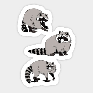 Trash Panda Racoon Sticker